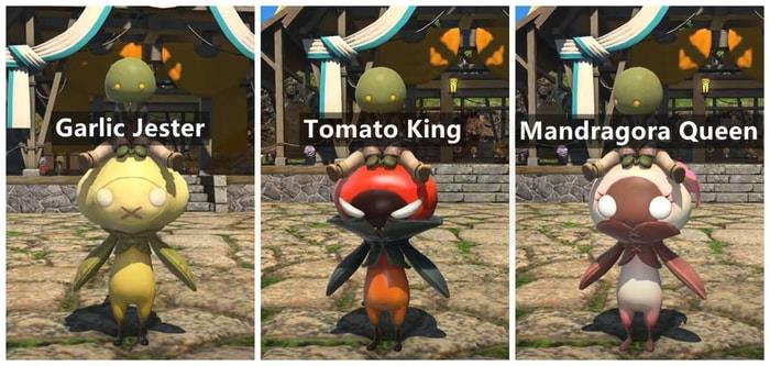 Island Sanctuary New Mounts